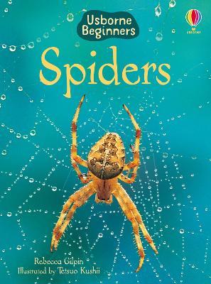 Spiders - Rebecca Gilpin - cover
