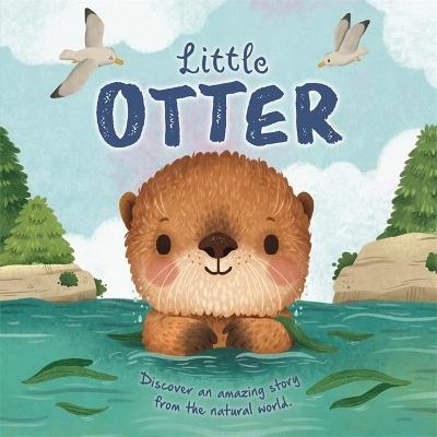 Little Otter - Autumn Publishing - cover