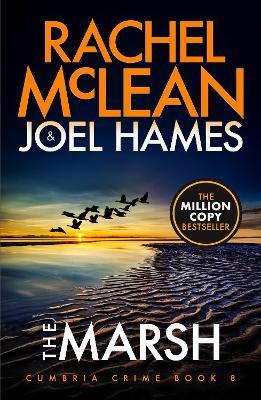 The Marsh - Rachel McLean,Joel Hames - cover