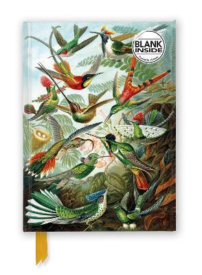 Ernst Haeckel: Hummingbirds (Foiled Blank Journal) - cover
