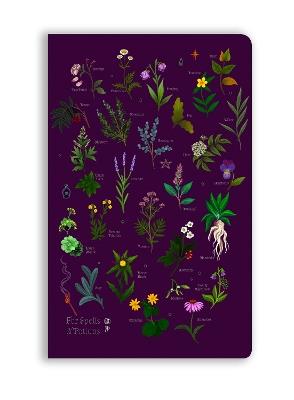 Anna Stead: For Spells & Potions (Soft Touch Journal) - cover