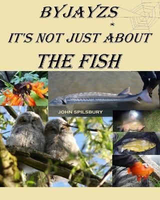It's Not Just About the Fish - Jayzs - cover