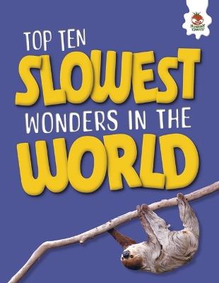 Top Ten Slowest Wonders in the World - John Allan - cover