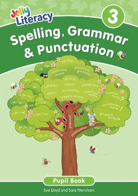 Spelling, Grammar & Punctuation Pupil Book 3: In Precursive Letters (British English edition) - Sue Lloyd,Sara Wernham - cover