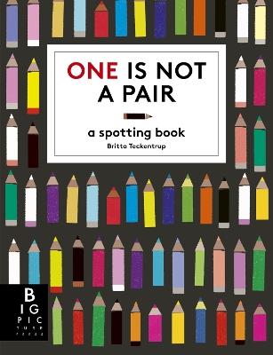 One is Not a Pair: A Spotting Book - Britta Teckentrup,Katie Haworth - cover