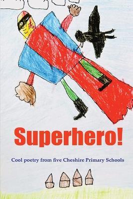 Superhero! - Paul Delaney - cover