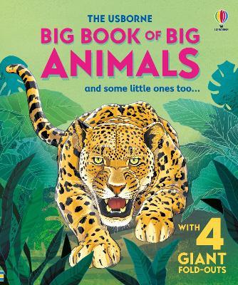 Big Book of Big Animals - Hazel Maskell - cover