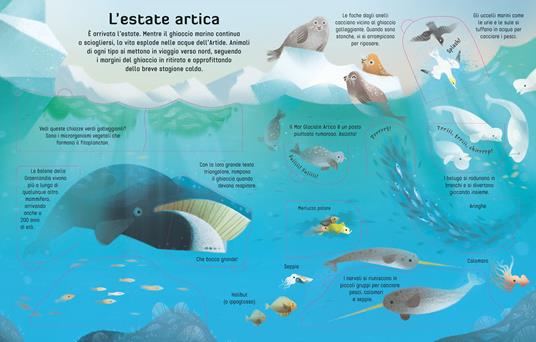 Viaggio in Artide - Jerome Martin - 2