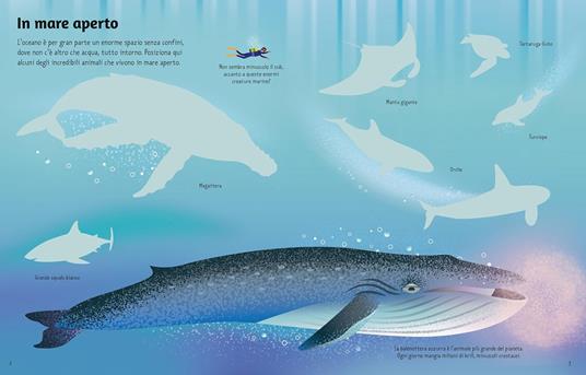 Gli oceani. Con adesivi. Ediz. a colori - Alice Beecham - 2