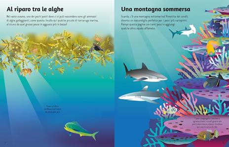 Gli oceani. Con adesivi. Ediz. a colori - Alice Beecham - 3