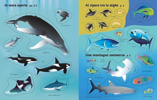 Gli oceani. Con adesivi. Ediz. a colori - Alice Beecham - 4
