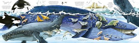 Il grande libro degli animali marini. Ediz. a colori - Minna Lacey - 2