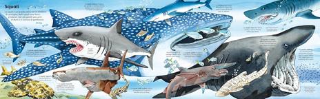 Il grande libro degli animali marini. Ediz. a colori - Minna Lacey - 5