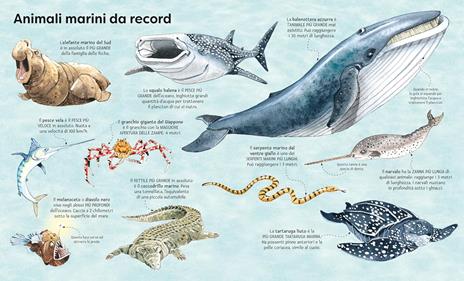 Il grande libro degli animali marini. Ediz. a colori - Minna Lacey - 6