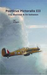 Poeticus Pictoralis III: Joy, Sadness & In-between