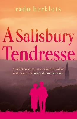 A Salisbury Tendresse - Radu Herklots - cover