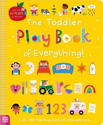 The Toddler Play Book of Everything! - Sarah Creese - cover