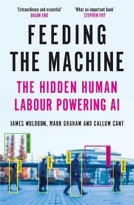 Feeding the Machine: The Hidden Human Labour Powering AI - James Muldoon,Mark Graham,Callum Cant - cover