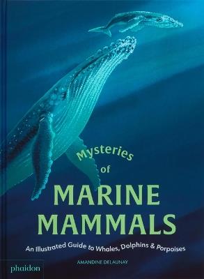 Mysteries of Marine Mammals: An Illustrated Guide to Whales, Dolphins, and Porpoises - Amandine Delaunay - cover