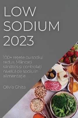 Low Sodium 2023: 100+ re?ete cu sodiul redus. Mânca?i sanatos ?i controla?i nivelul de sodiu în alimenta?ie - Olivia Ghita - cover