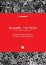 Sustainable Use of Biochar: From Basics to Advances