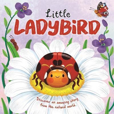 Little Ladybird - Autumn Publishing - cover