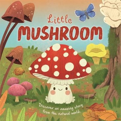 Little Mushroom - Autumn Publishing - cover
