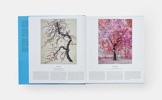 Tree. Exploring the arboreal world - 3