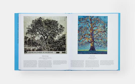 Tree. Exploring the arboreal world - 6