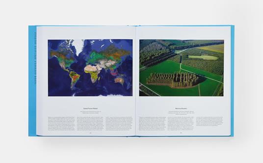 Tree. Exploring the arboreal world - 7