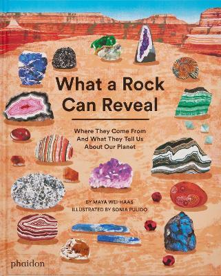 What a Rock Can Reveal: Where They Come From And What They Tell Us About Our Planet - Maya Wei-Haas - cover