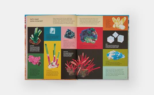 What a Rock Can Reveal: Where They Come From And What They Tell Us About Our Planet - Maya Wei-Haas - 4