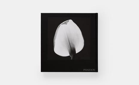 Robert Mapplethorpe. Flora. The complete flowers - 2