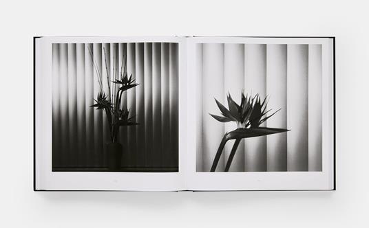 Robert Mapplethorpe. Flora. The complete flowers - 6