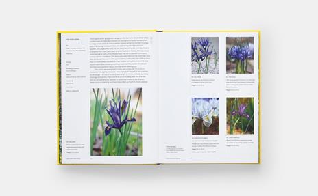 A year in bloom - Lucy Bellamy - 4