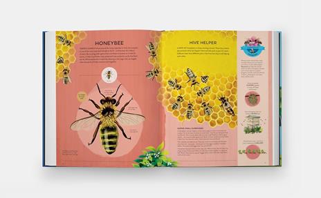 Nature's tiny champions - Ben Lerwill - 3