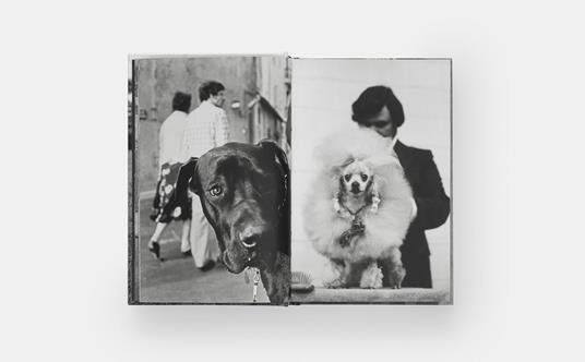 Dogdogs - Elliott Erwitt - 3