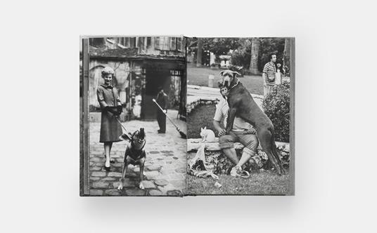 Dogdogs - Elliott Erwitt - 4