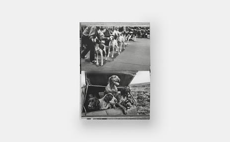 Dogdogs - Elliott Erwitt - 6