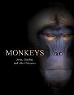 Monkeys: Apes, Gorillas and other Primates