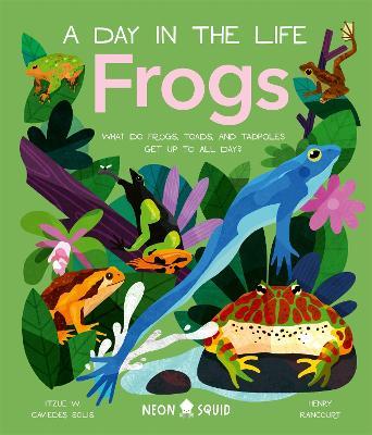 Frogs (A Day in the Life): What Do Frogs, Toads, and Tadpoles Get Up to All Day? - Itzue W. Neon Squid - cover