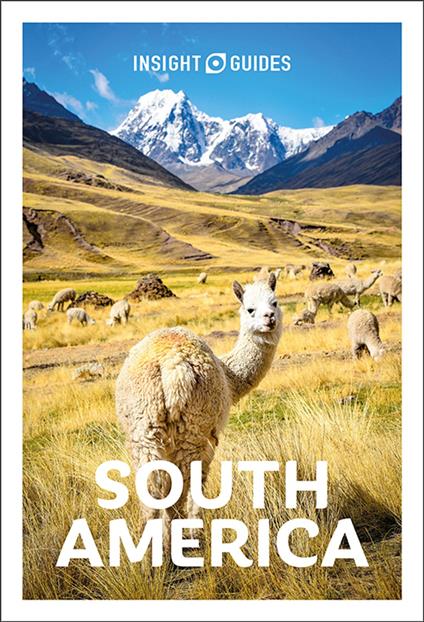 Insight Guides South America: Travel Guide eBook