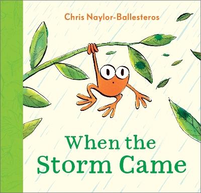 When the Storm Came - Chris Naylor-Ballesteros - cover