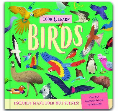 Look & Find: Birds - Laura Chamberlain - cover