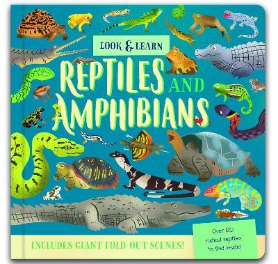 Look & Find: Reptiles and Amphibians - Laura Chamberlain - cover