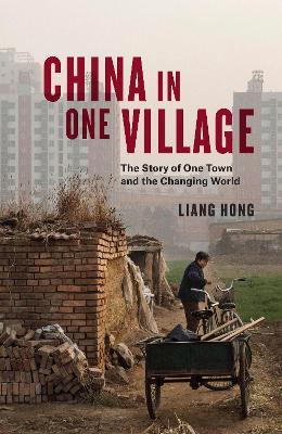 China in One Village: The Story of One Town and the Changing World - Liang Hong - cover