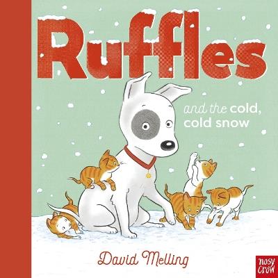Ruffles and the Cold, Cold Snow - David Melling - cover