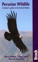 Peruvian Wildlife: A Visitors Guide to the High Andes