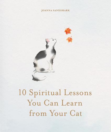 10 Spiritual Lessons You Can Learn from Your Cat