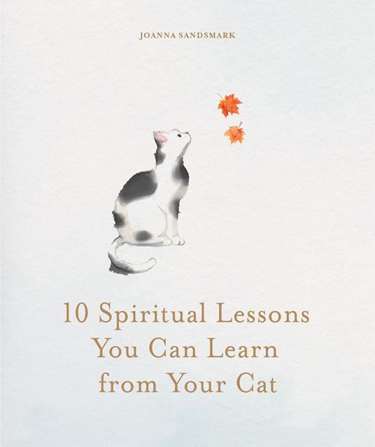 10 Spiritual Lessons You Can Learn from Your Cat